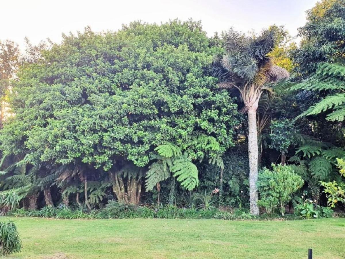 Paradise View Guesthouse グラスコップ エクステリア 写真