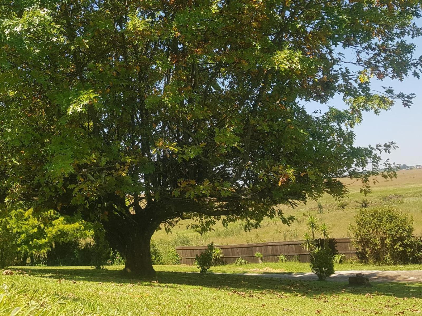 Paradise View Guesthouse グラスコップ 部屋 写真